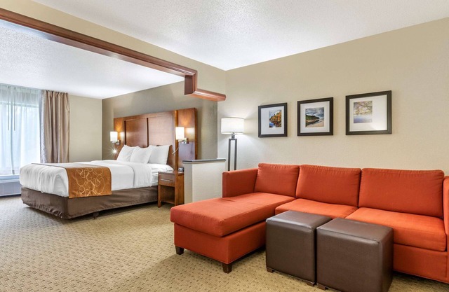 Comfort Suites Grand Rapids North