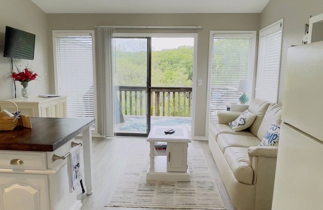 Comfortable and affordable condo in four seasons. Monthly Discount Available.