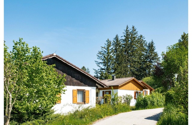 Comfort with Garden Charm