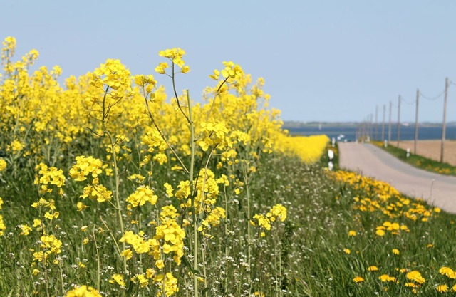 Comfortable apartment in quaint holiday village