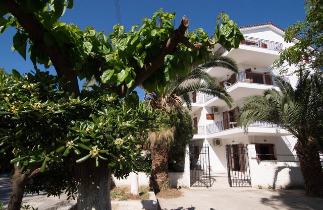 comfortable, bright apartment near the sea