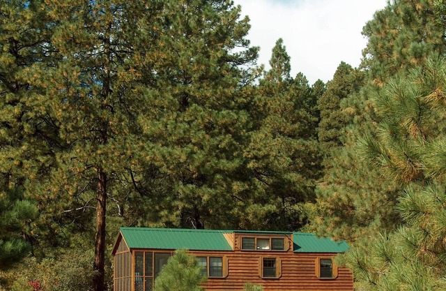 Comfortable Cabin in a quiet rural setting