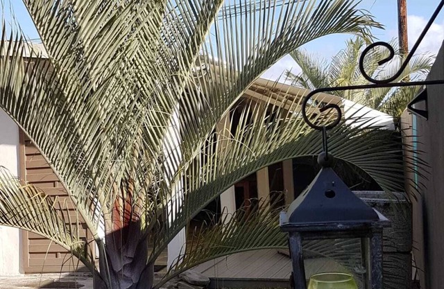 Comfortable cottage with pool near the beach and Guadeloupe sites -