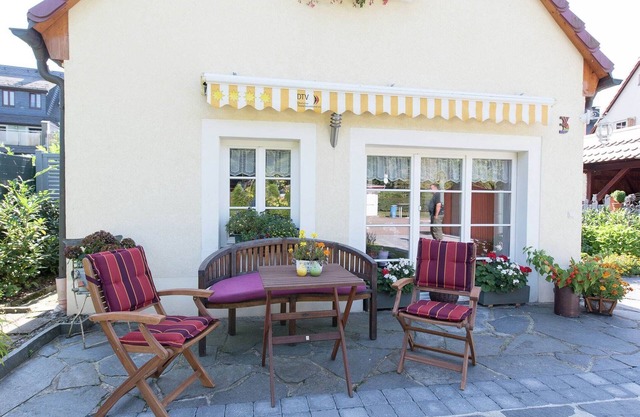 Comfortable holiday home in Saxony with terrace
