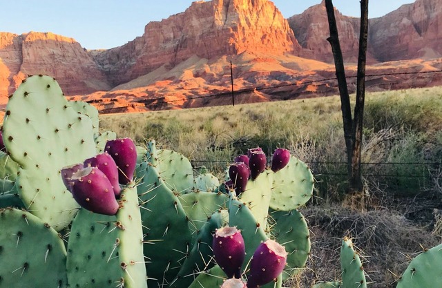 Comfortable Home with Breathtaking Views of the Vermilion Cliffs Wilderness