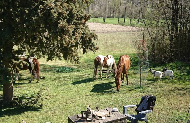 Comfortable Quiet House in the countryside Porte-du-Quercy for 8 people
