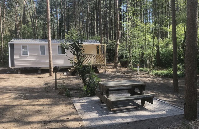 Comfy chalet with deck, in the Antwerp Kempen