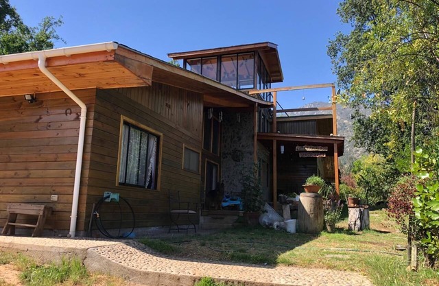 Connect with the Chilean native forest