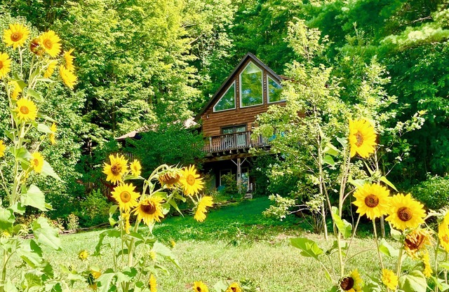 Cooperstown Beautiful Modern Home