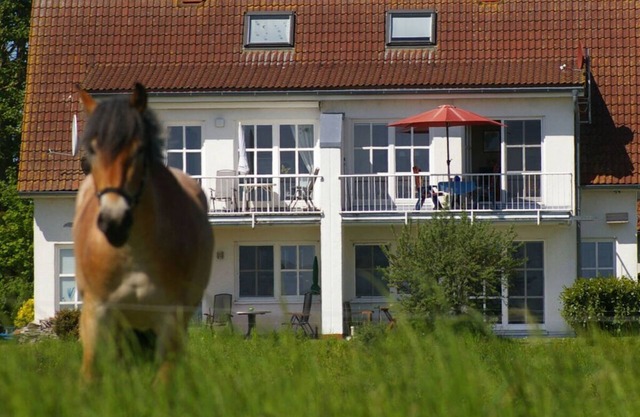 Cosy apartment in Garz