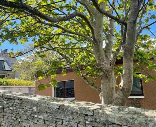 Cosy cottage in Kveldrso Gardens