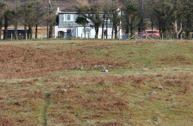 Cosy Crofter's Cottage In Mid Skye