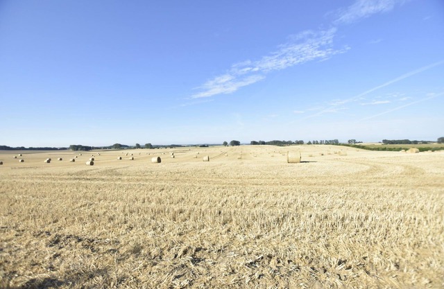 Cosy Holiday Home in Tessin with Terrace