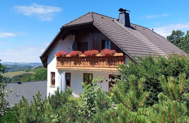 Cosy non-smoking apartment right by the forest with access to the Sauerland-Höhenflug