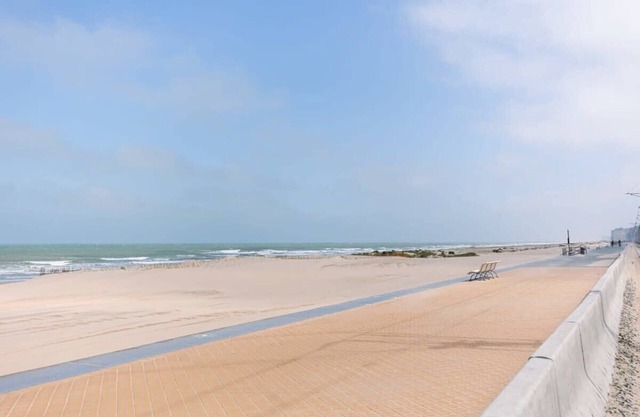 Cosy studio near the beach