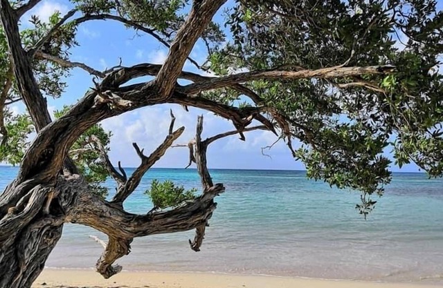 COTE PLAGE LE BALAOU