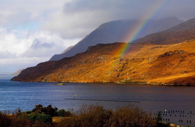 Cottage 419 - Carna - sleeps 8 guests in 4 bedrooms