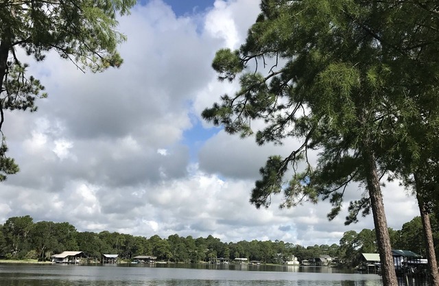 Cottage at Palmetto Creek