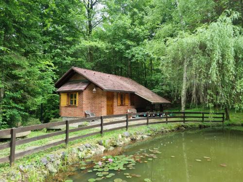 Cottage by the pond Pavel