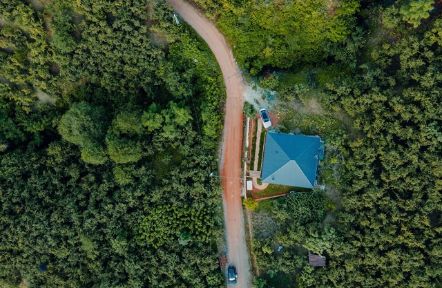 Cottage house surrounded by nature