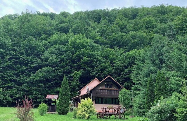 Cottage in a quite place in nature, between forest and river, in Transylvania.