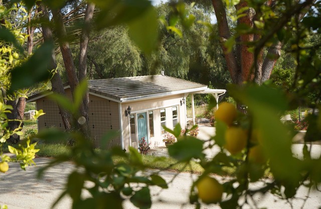 Cottage in Organic Lemon Orchard - Southern California FarmStay - Pet-friendly!