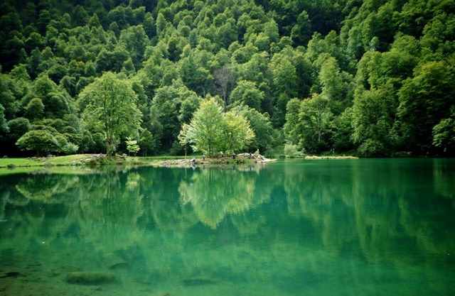 Cottage in the heart of the Ariège Pyrenees in the valley of Bethmale.