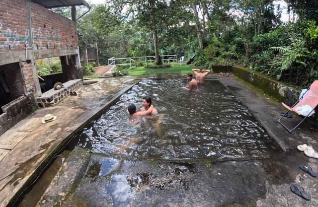 Cottage surrounded by greenery, pets are allowed, we welcome you with a tour.