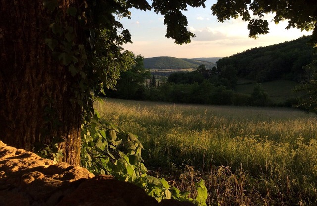 Cottage rental Les tilleuls stone house in Perigord Noir Sarlat