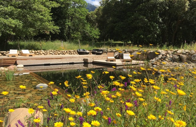 Cottage surrounded by nature, natural pool and organic garden