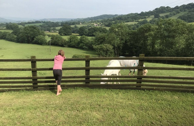 CottageOnFarmAndStablesEDevon,PicturesqueViews,NrJurassicCoast-CouplesDiscounts