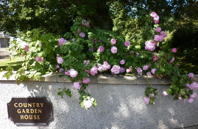 Country Garden House Holiday Homes