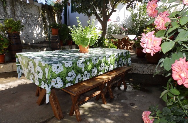 Country Holliday House in Vilaflor