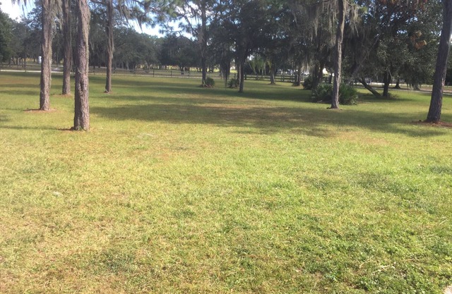 Country Home Horse Lovers Paradise