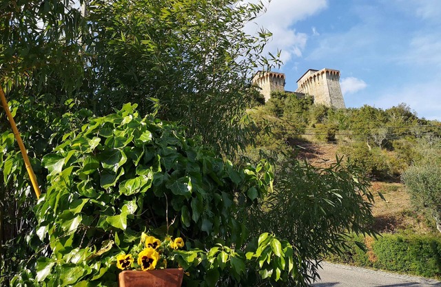 Country house Ourém