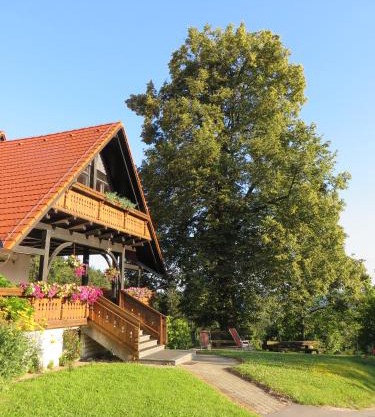 Country House Apat