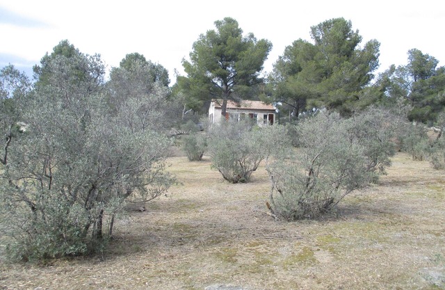 Country house in the heart of nature