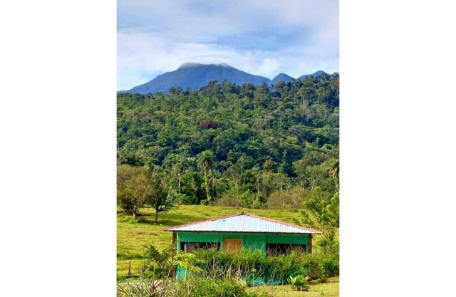 Country house Los Guarumos