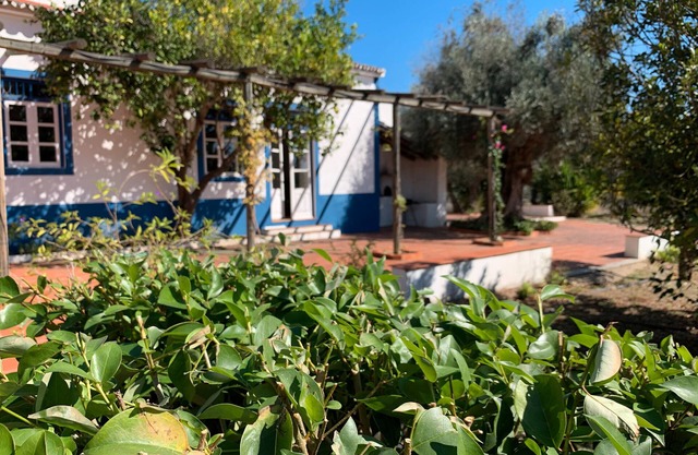 Country House "Quinta do Céu - Refuge in Alentejo," an Idyllic Setting