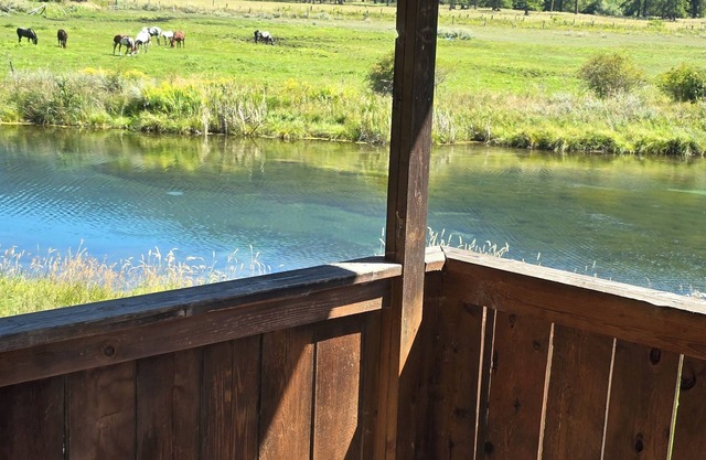 Country Living 6 miles from Colville, easy access, on a beautiful large pond!