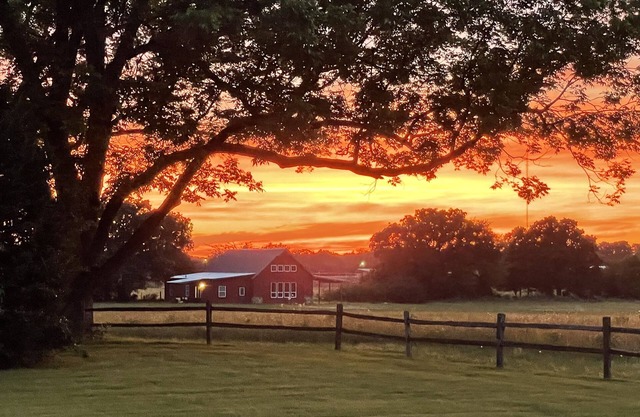 Country Living in the City: Sunset Meadows