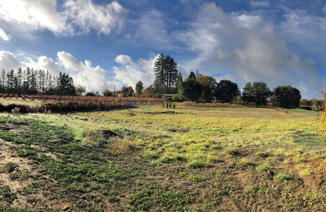 Country property close to boutique wineries. A romantic getaway