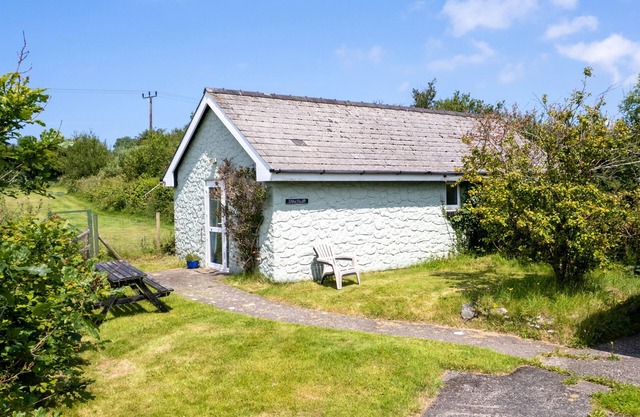 Cowslip at Gorslwyd - Sound Retreat