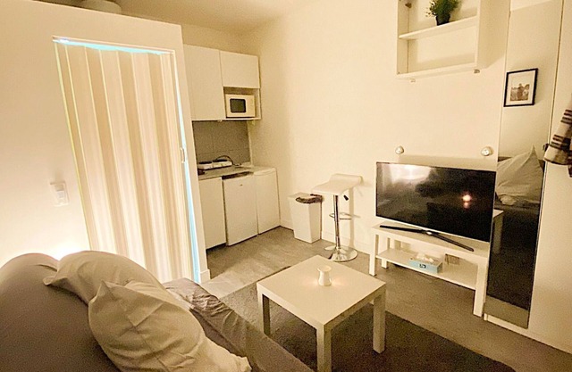 Cozy 1-bedroom apartment with WiFi, AC in charming Issy-les-Moulineaux