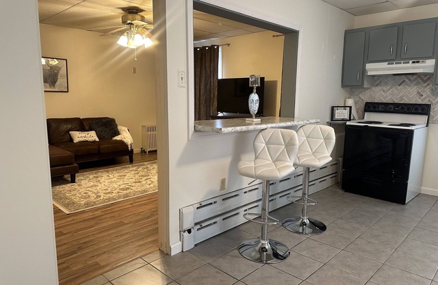 Cozy 2nd floor brick apartment. Walking distance -Charles Park, pond & dog park