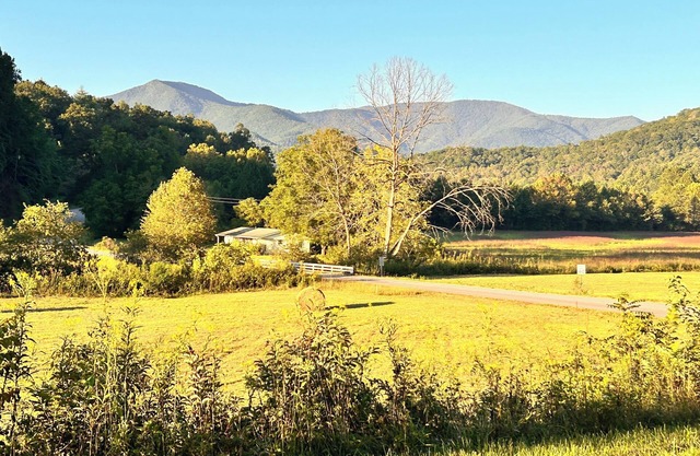 Cozy 3 Bed 2 Bath with Huge Outdoor Living