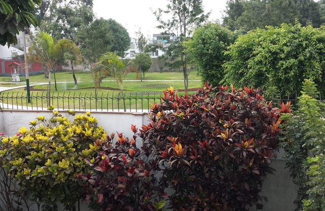 COZY 3 BEDROOM HOME CLOSE TO MIRAFLORES