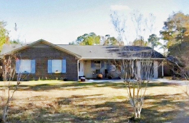 Cozy 3BR near the beach + downtown Wilmington Riverwalk with firepit + hammock