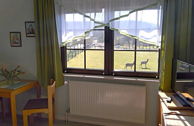 Cozy accommodation in the Jasmund National Park surrounded by our game reserve