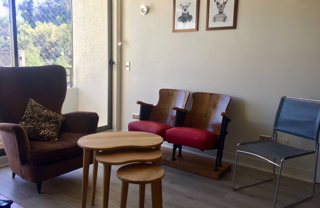Cozy and great apartment in the best place in Santiago